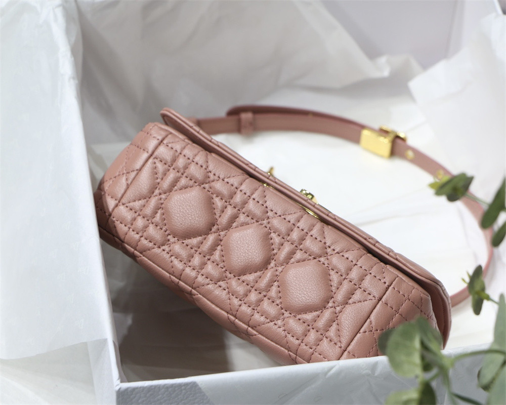 SMALL D10r CARO BAG PINK S*pple Cannage Calfskin With Silver Hardware 20 x 12 x 7 cm