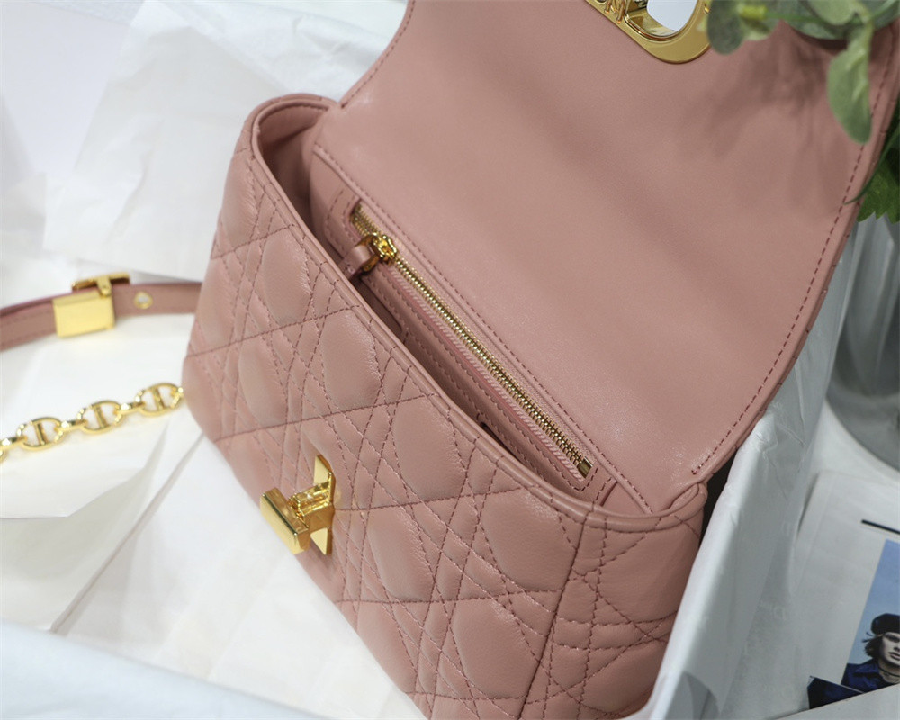 SMALL D10r CARO BAG PINK S*pple Cannage Calfskin With Silver Hardware 20 x 12 x 7 cm