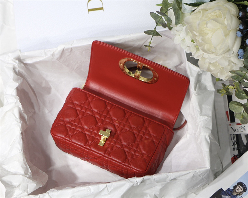 SMALL D10r CARO BAG Red S*pple Cannage Calfskin 20 x 12 x 7 cm