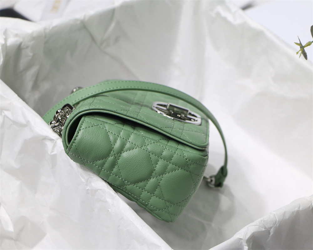 SMALL D10r CARO BAG gREEN S*pple Cannage Calfskin With Silver Hardware 20 x 12 x 7 cm