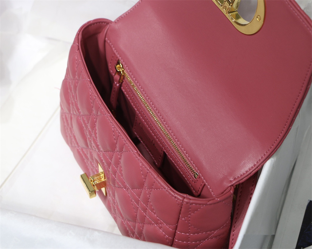 SMALL D10r CARO BAG Light red S*pple Cannage Calfskin 20 x 12 x 7 cm