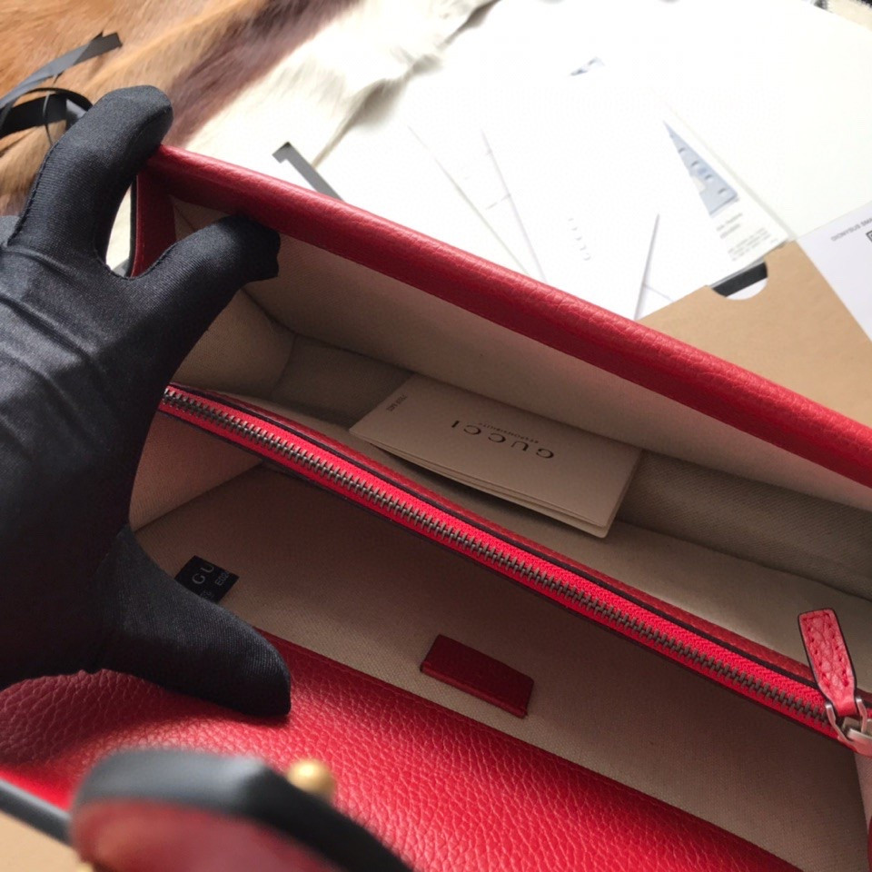 Gvc*1 DIONYSUS LEATHER SMALL RECTANGULAR BAG RED 28x17x9cm