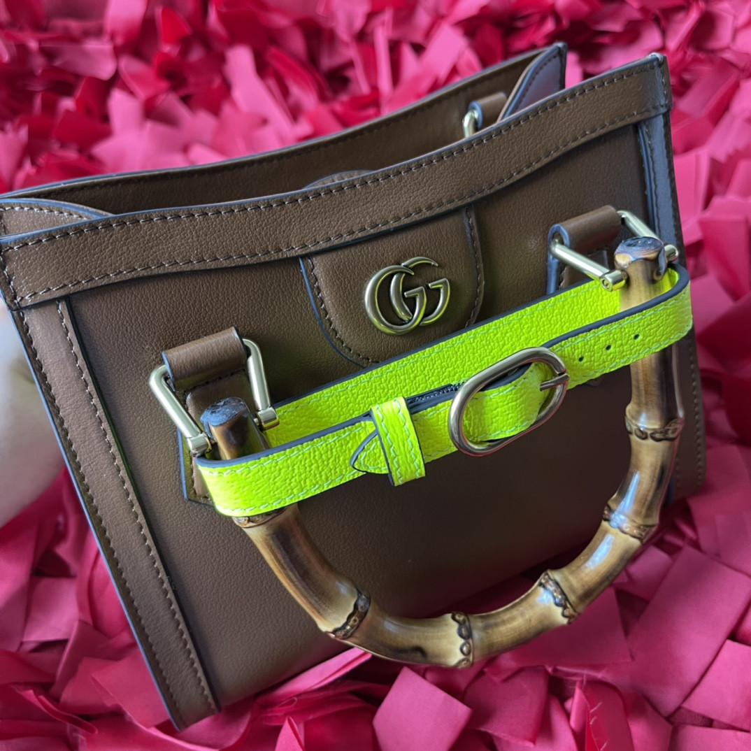 Gvc*1 DIANA MINI TOTE BAG Khaki 20W x 16H x 10D CM