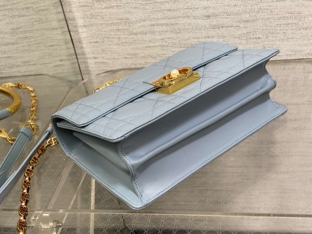 D10r Medium D10r Ange Bag Blue Latte Macrocannage Calfskin 26 x 17 x 9 cm