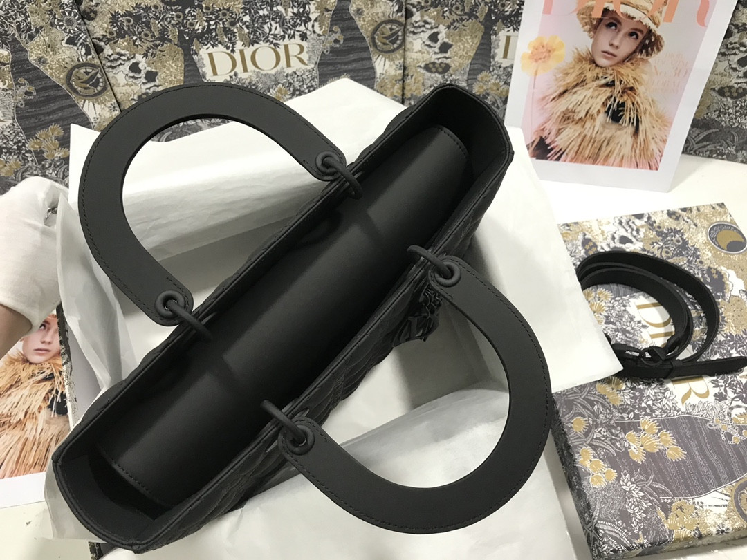 D10r Lady Bag 32 x 25 x 11cm