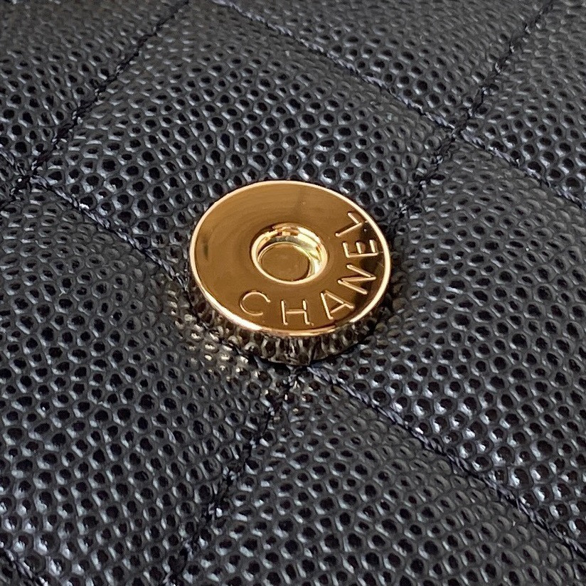 Ch**el Kelly 23P 19x10x4.5cm