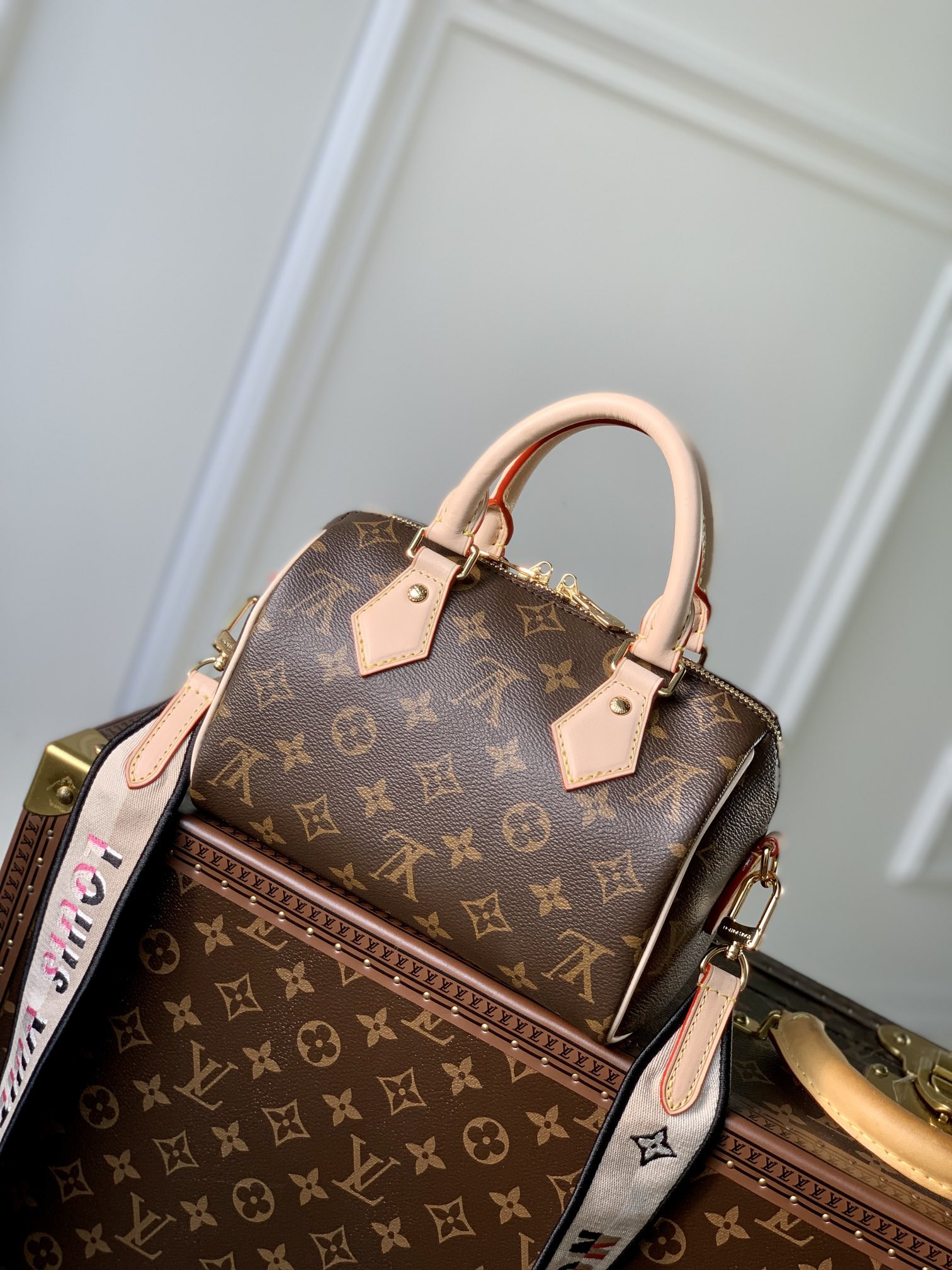 LV SPEEDY BANDOULIÈRE 20 Handbag M46234 13.5x12x20.5cm
