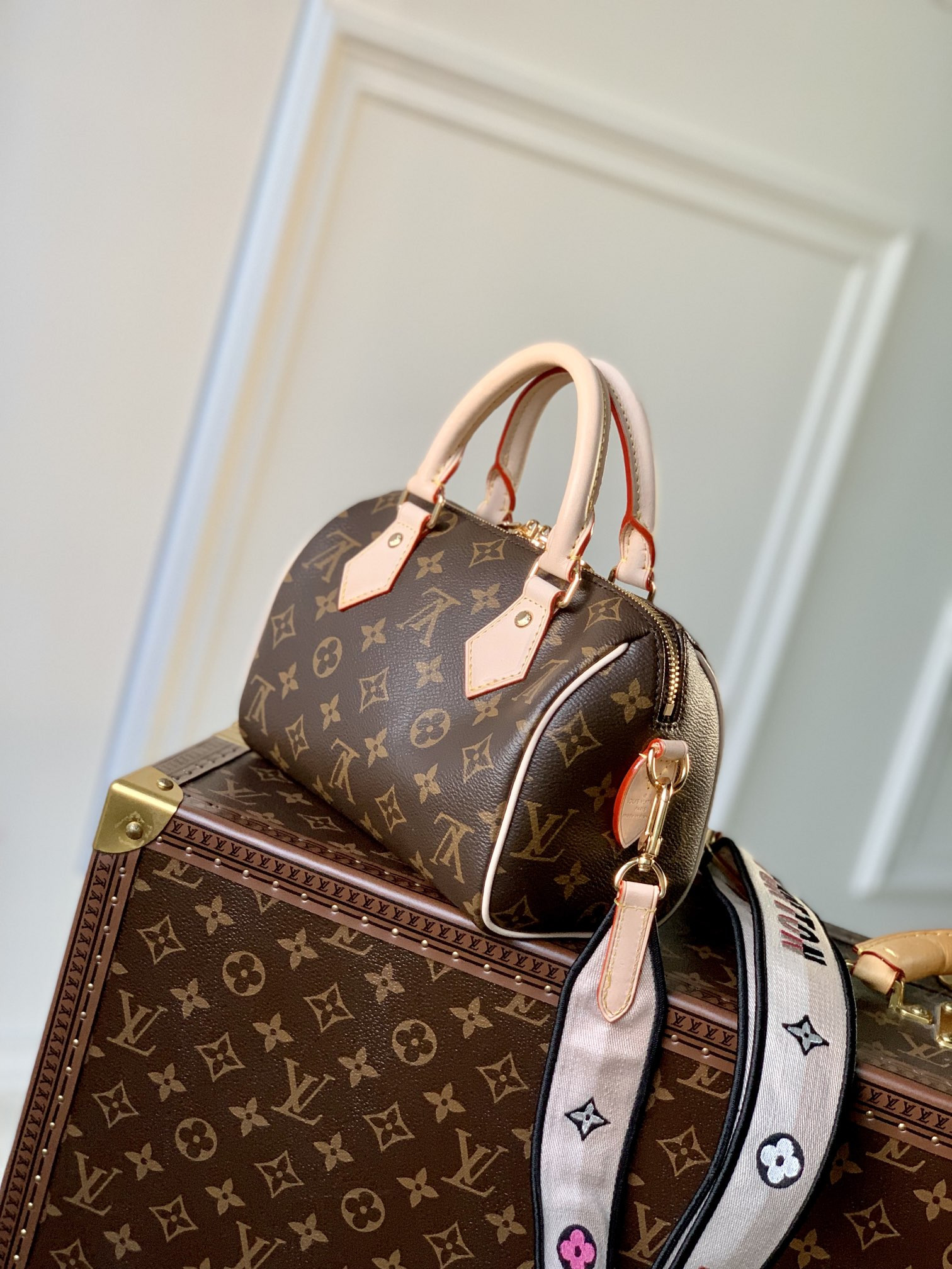 LV SPEEDY BANDOULIÈRE 20 Handbag M46234 13.5x12x20.5cm