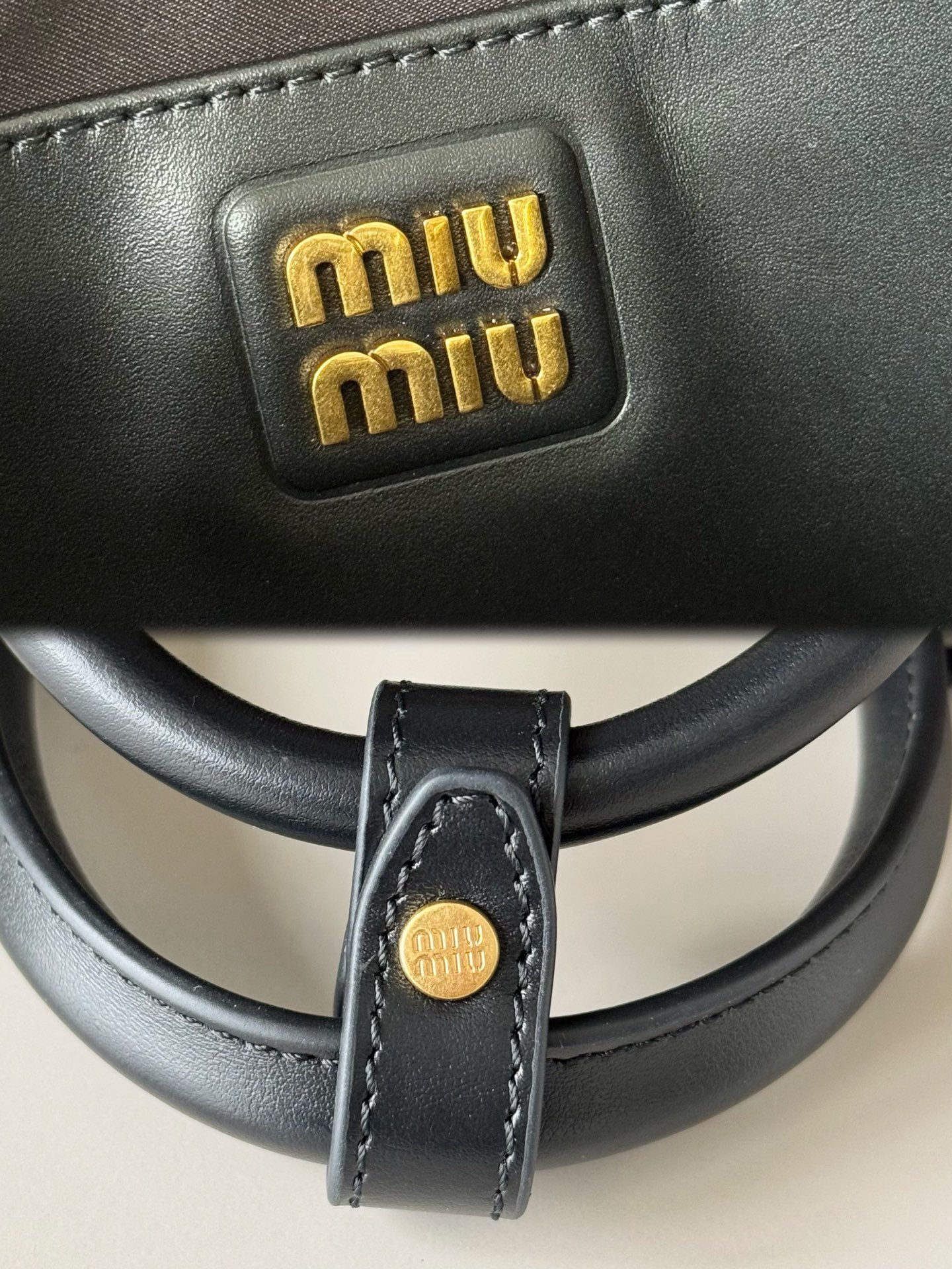 Miu Miu Arcadie Leather Bag 13x19x6cm