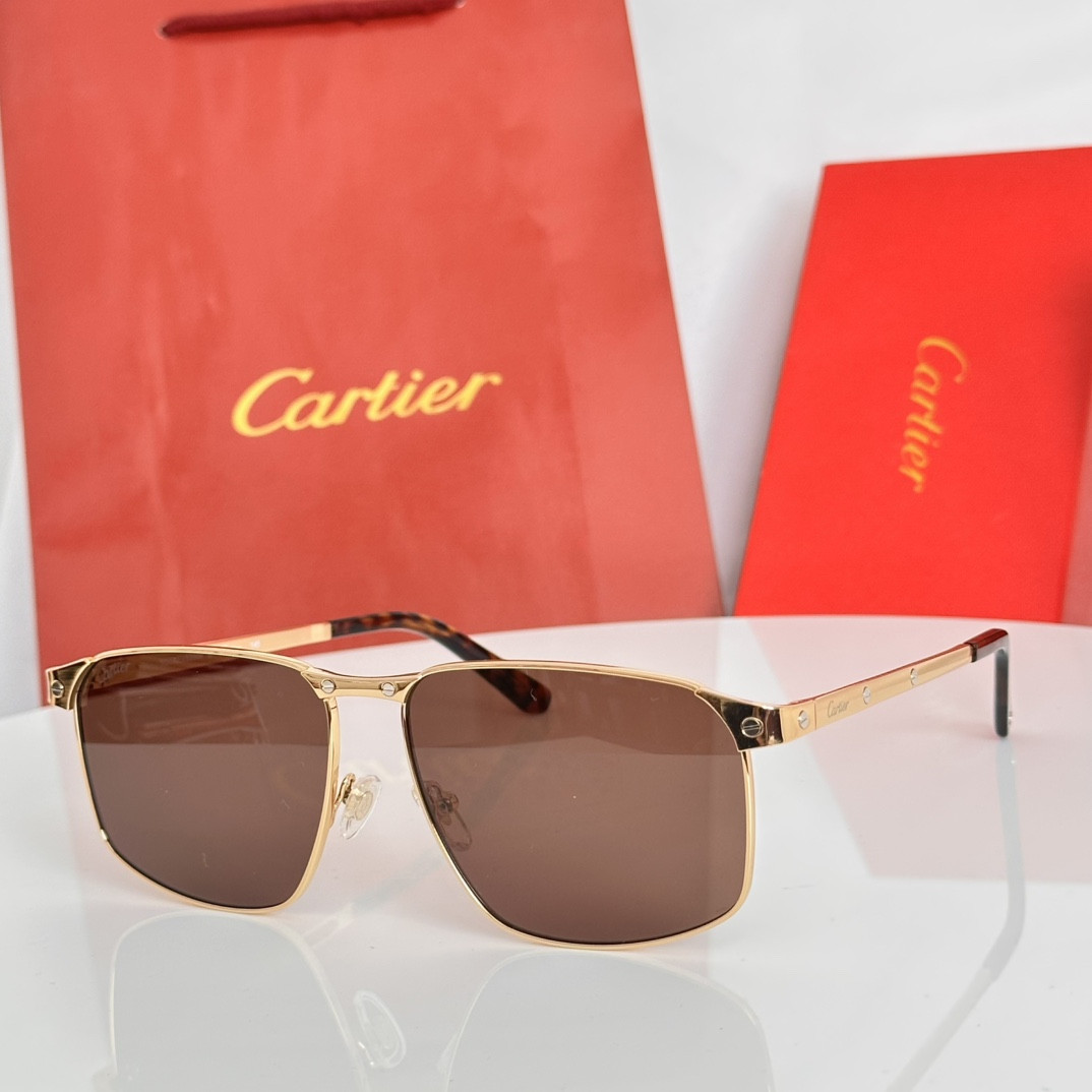 Cartier Glasses CT0322S 145