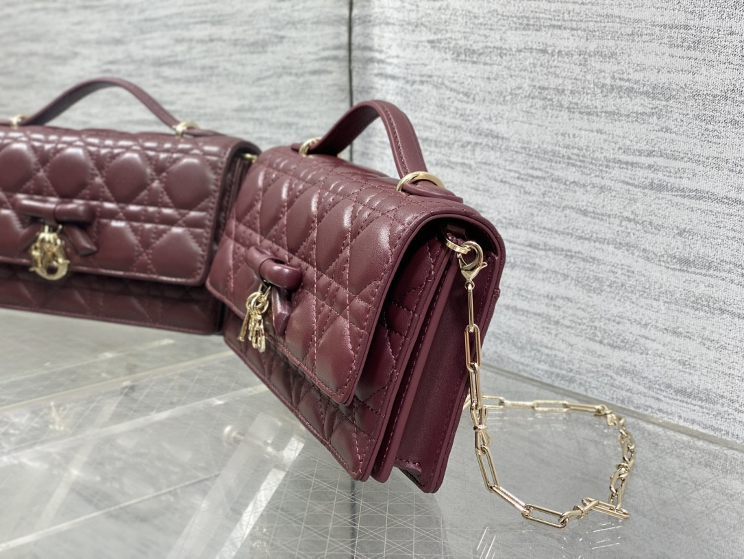my D10r mini bag 21x11.5x4.5cm