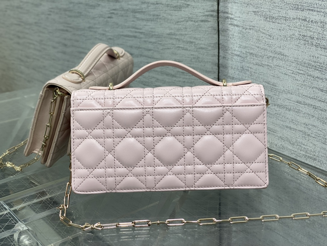 my D10r mini bag 21x11.5x4.5cm