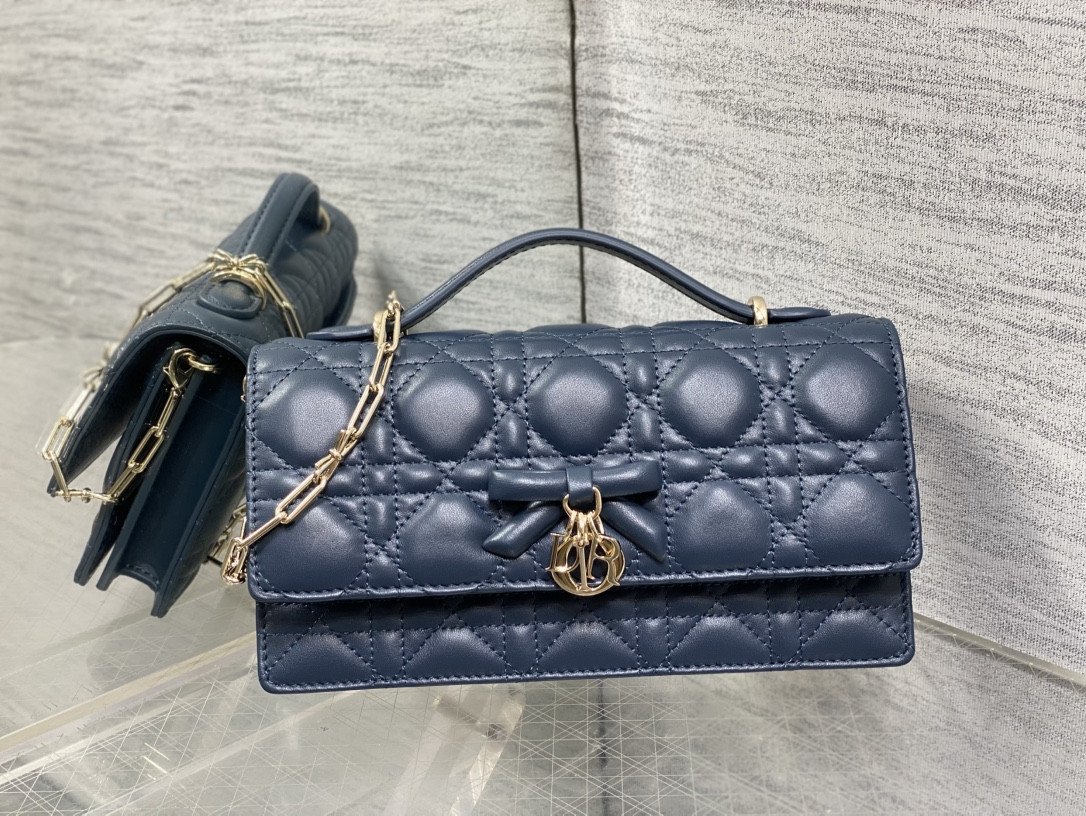 my D10r mini bag 21x11.5x4.5cm